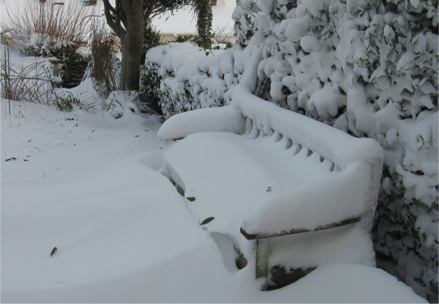 Snow covered bench in garden