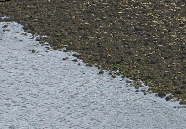 Sea (left) and bech (riht)