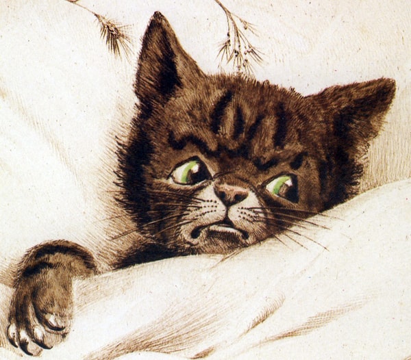 Humanised cat in bed