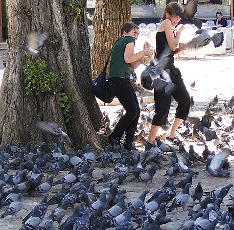 Photo by Adam Jones Ph.d CC BY-SA 3.0 via Wikimedia Commons Pigeons on ground in foreground, infront of two children