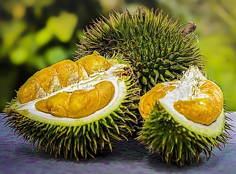 Two duria ruits, one sliced in half to show orange pulp