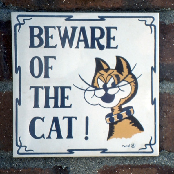 'Beware Of The Cat' sign