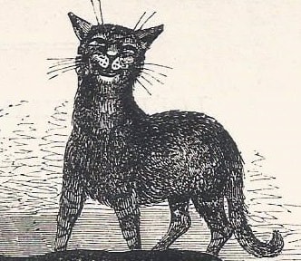 Woodcut of cat yowling